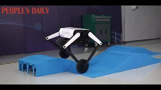 Enjoy the talent show staged by wheel-legged robot Ollie from China!