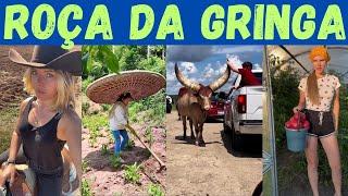 ROÇAS around the WORLD! See what the countryside is like in other countries.