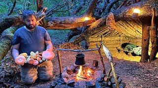 Bushcraft Survival Camping; Building a Warm and Cozy Nest - Tree House - Mushroom Cooking