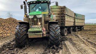 John Deere 6195R - STUCK in MUD | Rába Steiger rescue | Cukkorrépa hordás 2019