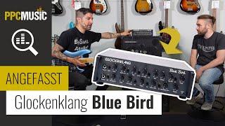 Wir testen den Glockenklang Blue Bird! DER Amp für deinen Bass?