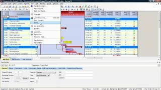 Primavera Risk Analysis (PRA): Mastering the Plan Menu | Project Setup Guide