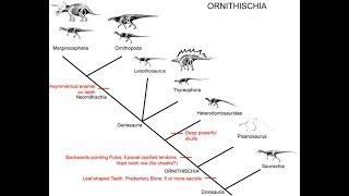 Ornithischia