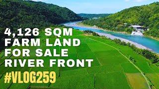 #vlog259  FARM LOT FOR SALE IN PHILIPPINES - 4,126 SQM - FRUIT BEARING LAND - AGOS RIVER FRONT