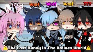 One Bunny In a Whole World Of Wolves || FULL MOVIE || GLMM-GLM || [Original] || Season 1