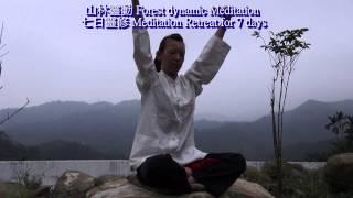 山林靈動 Forest dynamic Meditation--七日靈修 Meditation Retreat for 7 days