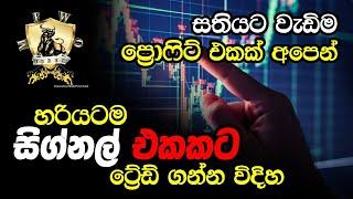 Signals වලට හරිම විදියට trade කරමු-Let's trade very well for signals