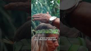 ¿Qué és la AYAHUASCA? #yage #amazonas #plantadelpoder #indigenas #tribu #espiritual #ceremonia