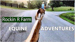 Rockin R Farm: Equine Adventures