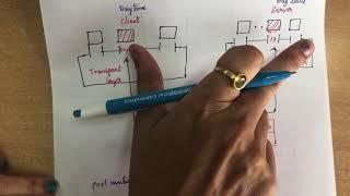 54. #Transportlayer, #services Introduction to Transport Layer -Services -Computer Networks