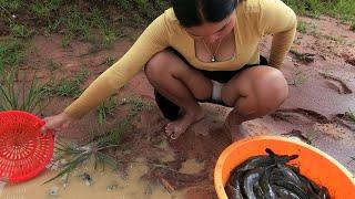 SPICY Fishing - Amazing Finding & Catching Fish A Lot Of By Hand