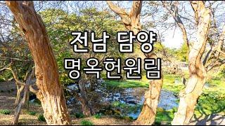 담양 가볼만한곳 경치 좋은 담양 명옥헌원림