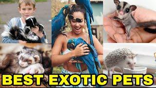 Top 10 Best EXOTIC PETS You Can Own : EXOTIC Animals - Fish - Birds : Best for Kids