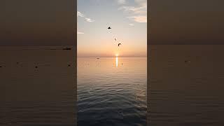 Seagulls at sunset - Garda, Lake Garda, Italy