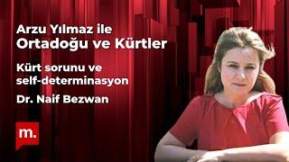 Ortadoğu ve Kürtler: Kürt sorunu ve self-determinasyon - Konuk: Dr. Naif Bezwan