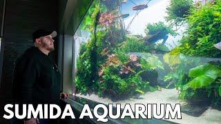 SUMIDA Aquarium: Der Traum von jedem Aquascaper!