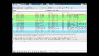 The DHCP process in Wireshark