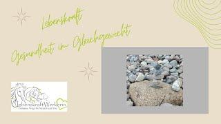 Lebenskraft - Gesundheit im Gleichgewicht