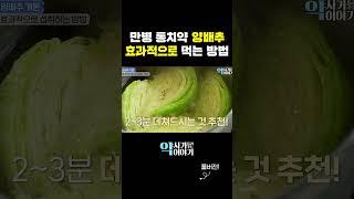 독소 배출, 항암 효과 확 끌어올리는 양배추 섭취 방법!