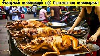 சீனர்களின் படு மோசமான உணவுகள் || 10 Weirdest Food in China || Galatta Info Tamil