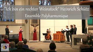 "Ich bin ein rechter Weinstock" Heinrich Schütz | Ensemble Polyharmonique