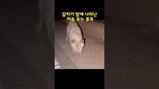 확인해 보니… xx이였다
