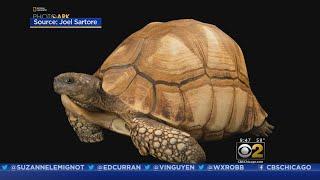 CBS 2 Saturday Morning News