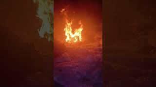 Деньги валяются под ногами.