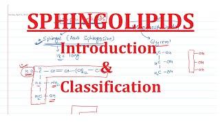 21. Sphingolipids: Introduction & Classification