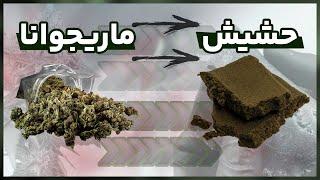 حشیش چگونه تولید میشود | تبدیل ماری جوانا به حشیش