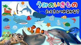 うみのいきものをたくさん釣ろう！【子供向け 海の生き物アニメ】水族館で人気のイルカ ジンベエザメ マンタなど海の生き物たちが16種登場するよ【生き物 知育動画】