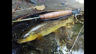 Pêche à la mouche en Lozère sur le Tarnon