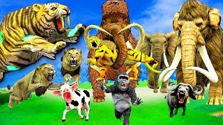 3 Giant Tiger Lion vs 3 Monster Lion Mammoth Attack Baby Cow Male Buffalo Saved By Woolly Mammoth