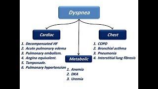 Approach to a patient with dyspnea (Dr. Sherif Altoukhy)