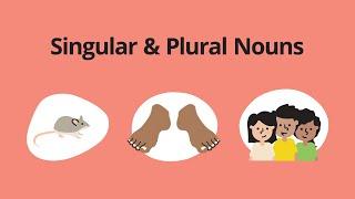 Singular & Plural Nouns – English Grammar Lessons