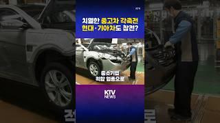 현대·기아차, 중고차 시장 점유율 제한 해제 (25.5.26.) #현대차 #기아차 #중고차 #대기업 #점유율 #소비자 #KTV #뉴스 #이슈 #news #issue