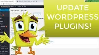 How to Update/Upgrade Wordpress Plugins to Newer Versions Inside WP-Admin EASY Tutorial!