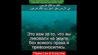 Коран Сура Гафир | 40:75 | Чтение Корана с русским переводом | Quran Translation in Russian