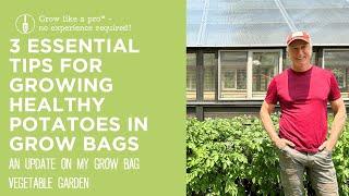 3 Essential Tips for Growing Healthy Potatoes in Grow Bags