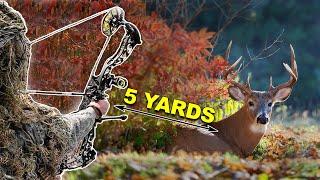 5 yards from a GIANT Mountain Buck! - Spot and Stalk in Socks