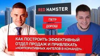 Петр Дорош: Строим Эффективный Отдел Продаж, привыкаем "корпоративных ангелов" в команду