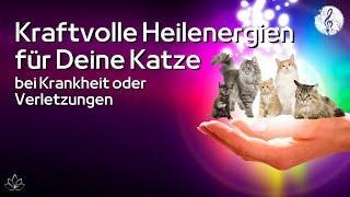 Heilenergien für Katzen  | Immunsystem & Selbstheilungskräfte stärken | Kranke Katze |Verletzungen