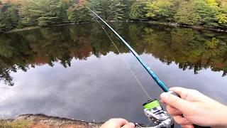 Northern Pike on top water lures - St. Croix Legend Extreme first test