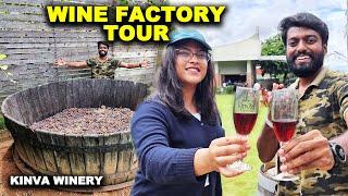 WINE FACTORY TOUR !! How Red Wine is Made ? Kinvah Winery - Karnataka | DAN JR VLOGS