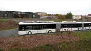 DD - AutoTram® gegen MB Citaro (23.10.2013)