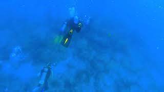 No copyright Deep sea diving | Inside deep sea | Free stock footage | Underwater Ocean video