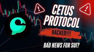 CETUS PROTOCOL HACK EXPLAINED || SUI BIGGEST LP PROVIDER || CRYPTO NEWS || SUI AFFECTED??