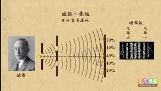 16概率波     波粒二象性     高中物理