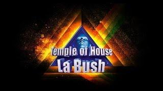 Remember la Bush mix vinyls