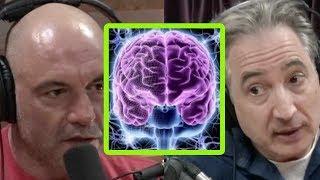 Brian Greene and Joe Rogan: Consciousness and Psychedelics